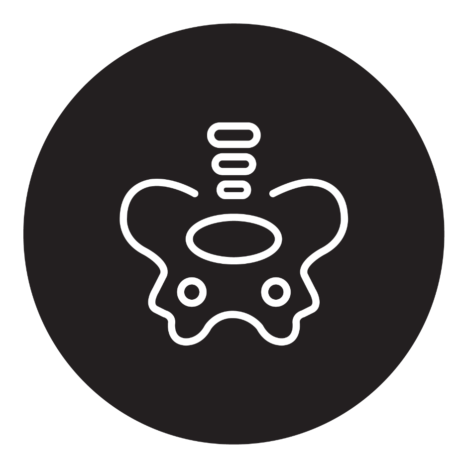 Pelvic Floor